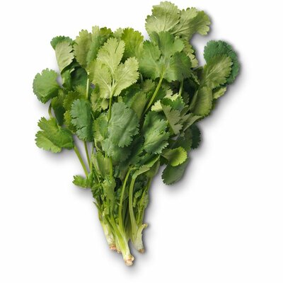 Зелень Маркет Fresh Кинза 30 г