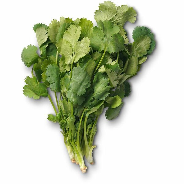 Зелень Маркет Fresh Кинза 30 г