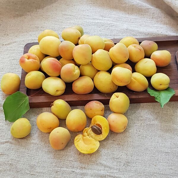 Абрикос горный сладкий (Danilovskymarket)