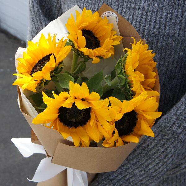 Солнечный день