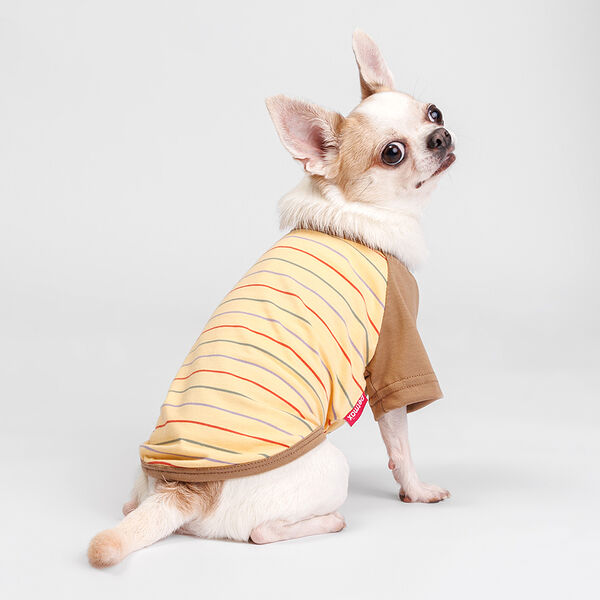 Petmax Футболка желтая в полоску M