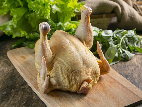 Домашняя курица