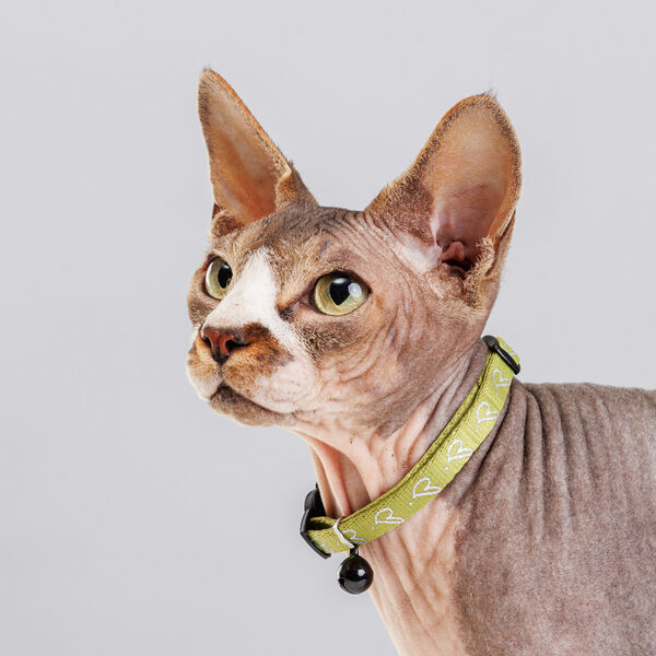 Ошейник нейлоновый с колокольчиком для кошек, 1х30 см, зеленый