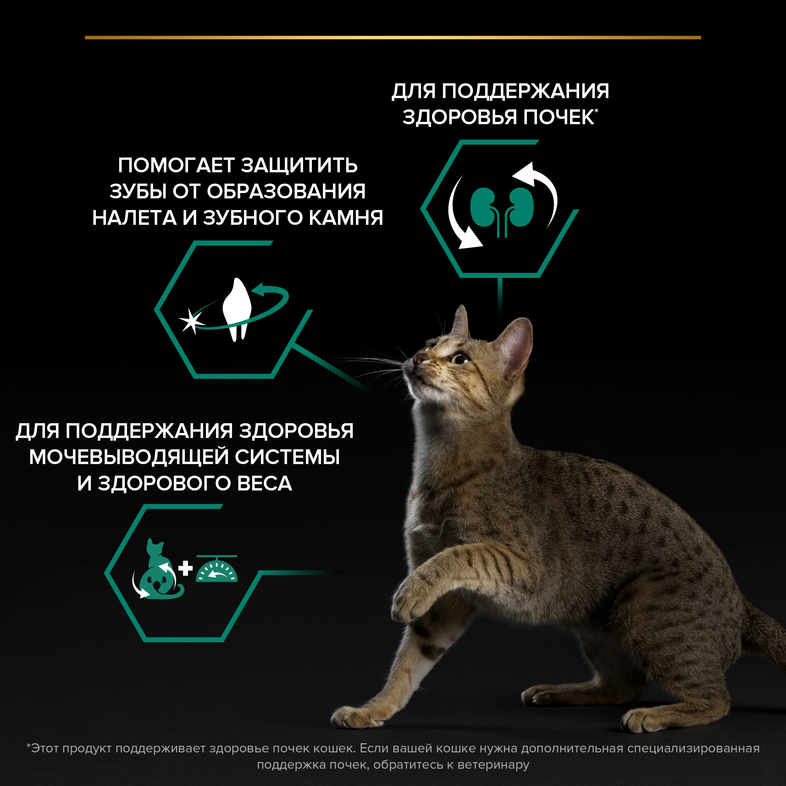 

Сухой корм Pro Plan Sterilised Renal Plus для взрослых стерилизованных кошек для поддержания здоровья почек, с высоким содержанием индейки 10 кг