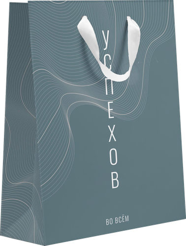 

Пакет подарочный Пакетико Country 22.7 х 18 х 10 см, дизайн в ассортименте