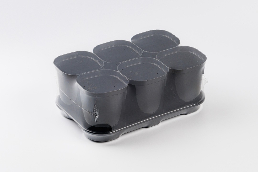 

Набор горшков для выращивания рассады InGreen Smart Solution с поддоном 6 шт 400 мл