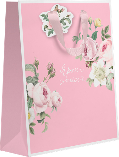 Пакет подарочный Пакетико Enamor премиум 22.7х18х10 см дизайн в ассортименте