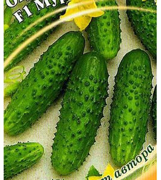 Огурец корнишон Мурашка F1 Гавриш Семена от автора, 10 шт.