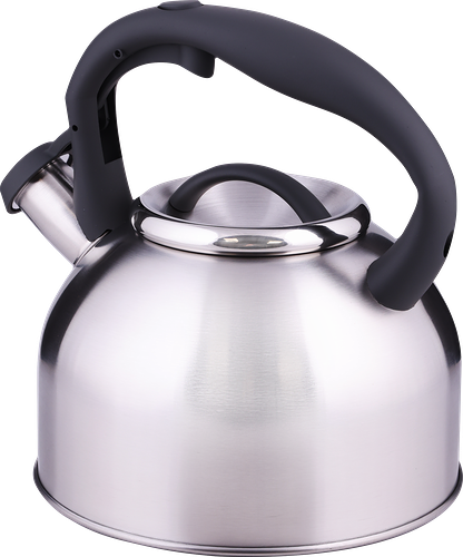 Чайник HOMECLUB Glide 2.5 л со свистком, нержавеющая сталь, нейлон