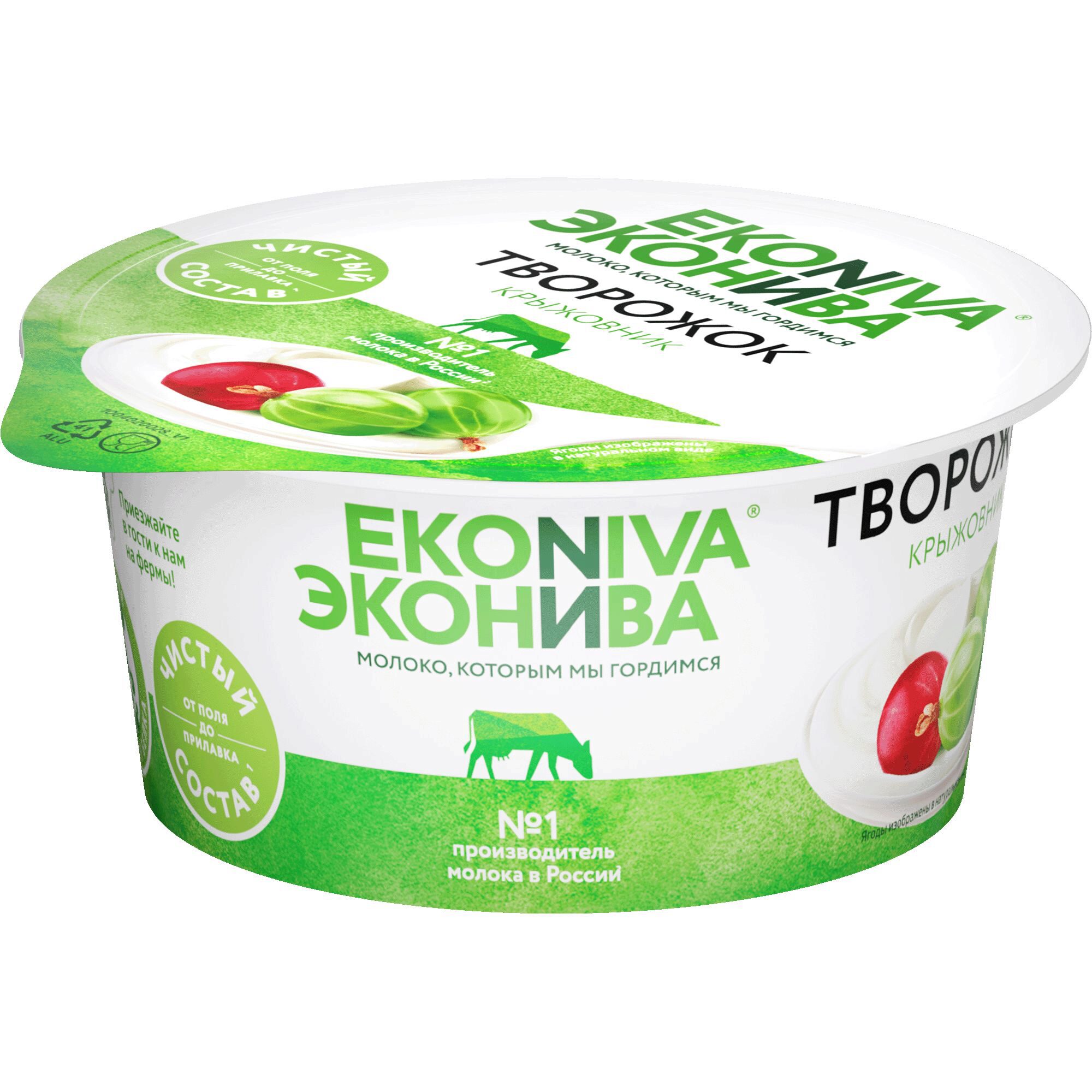 

Творожок ЭкоНива с крыжовником 5% 125 г