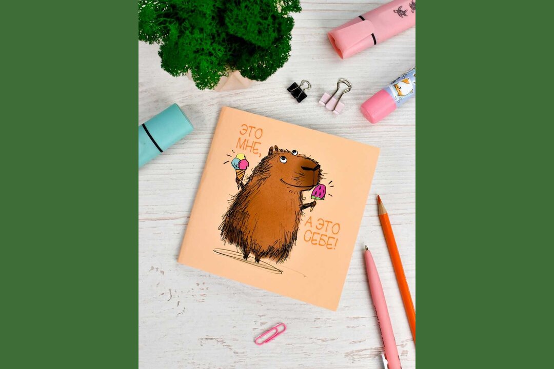 

Блокнот Феникс+ Капибара 13 x 13 см 32 л