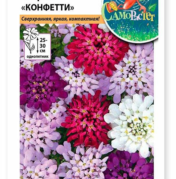 Семена Русский огород Иберис Конфетти смесь 0.1 г