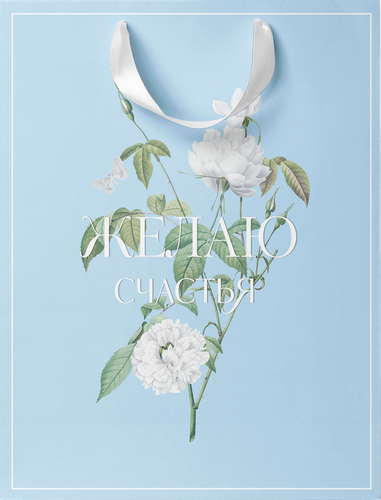 

Пакет подарочный Paketiko Blue bird 22.7х18х10 см, дизайн в ассортименте