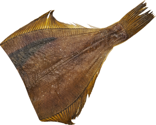 

Камбала вяленая, вес