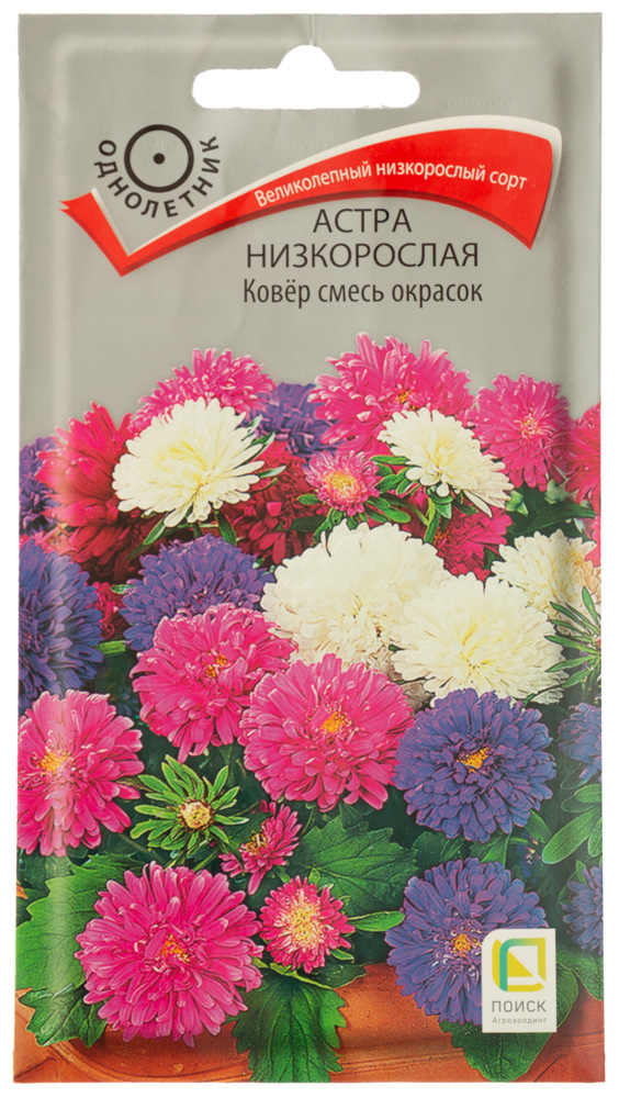 

Семена Поиск Астра низкорослая Ковер смесь окрасок 0.2 г