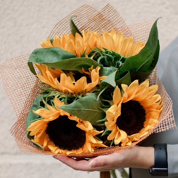 Букет из 5 подсолнухов