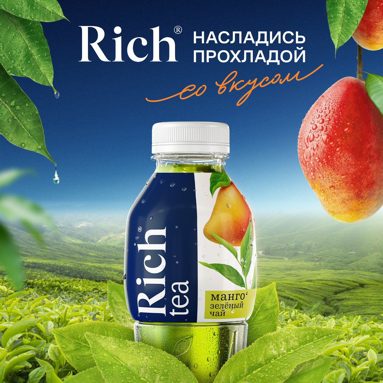 

Холодный зеленый чай Rich Манго 1 л