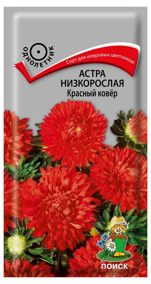 

Семена Астра низовая Красный ковер Поиск 2 г