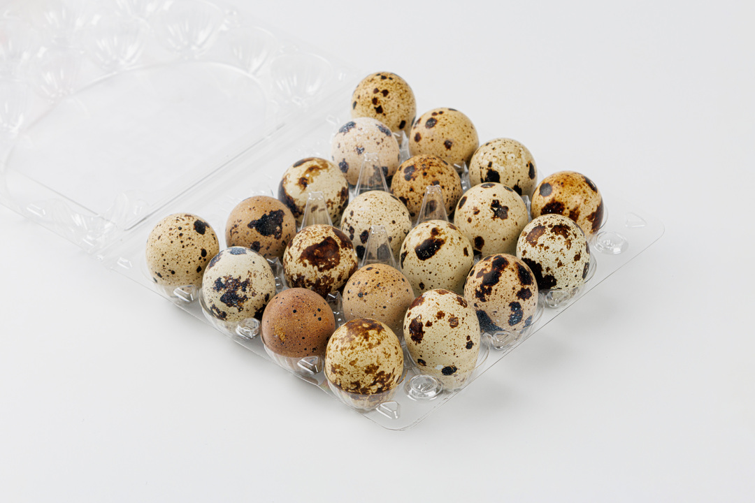 

Яйцо перепелиное ВкусВилл пищевое фермерское 20 шт.