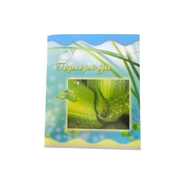 Тетрадь общая, цв.обл., 96 л., 5С072