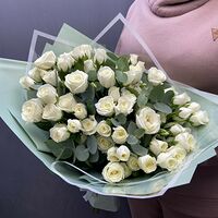 Изображение 3