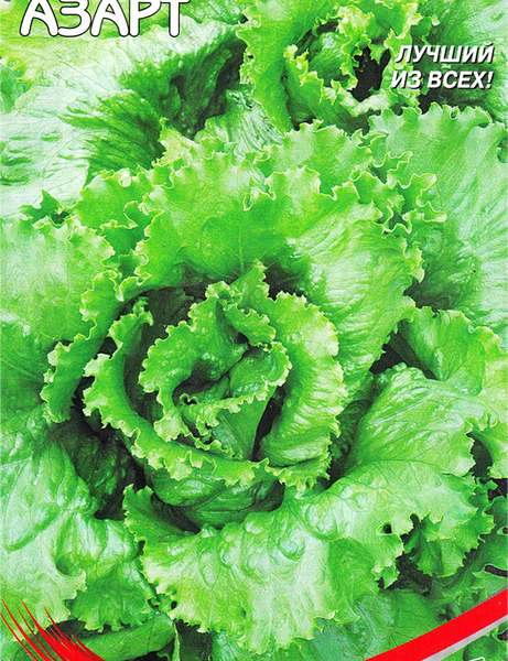 Семена ДОМ СЕМЯН Салат Азарт