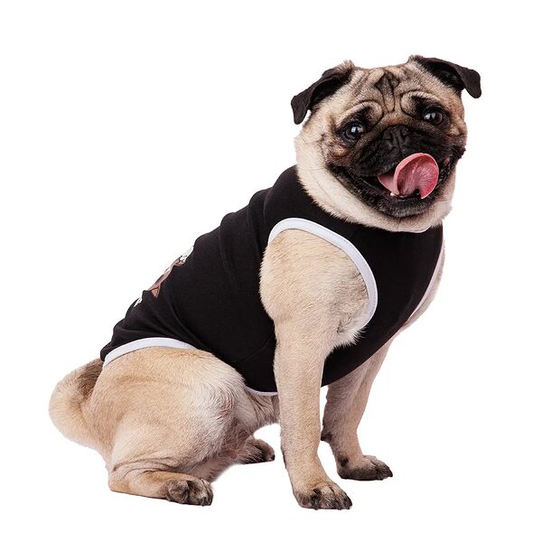 Футболка для собак Petmax 2XL черный