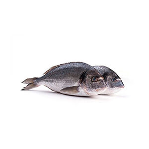 Дорада Турция