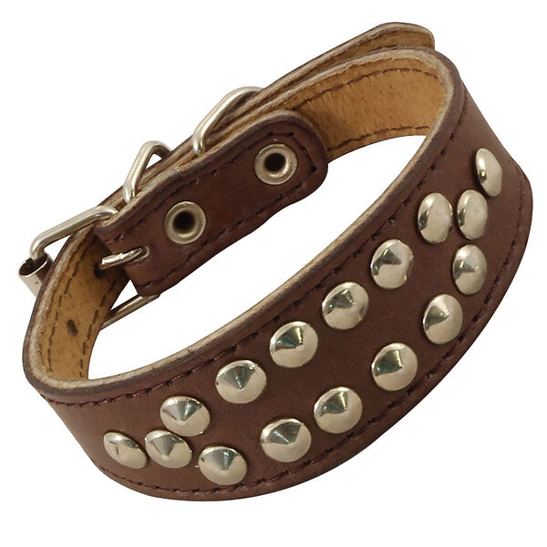 Гамма ошейник двойной 