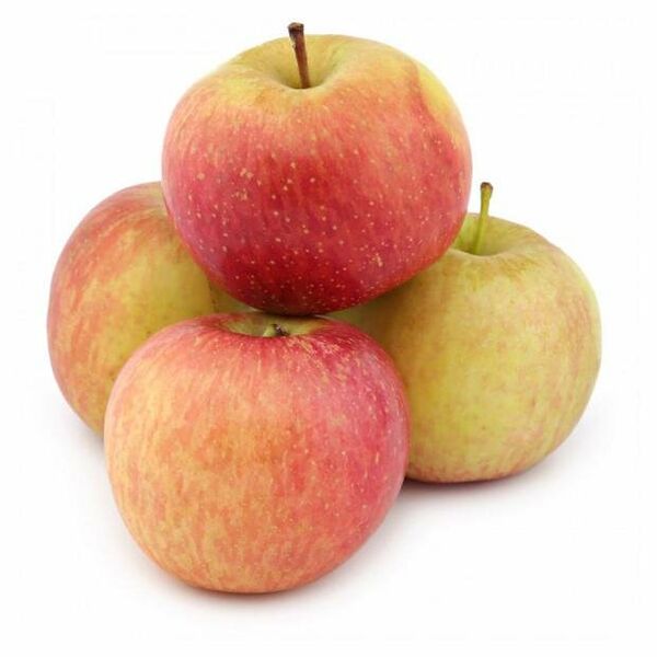 Яблоко сезонное