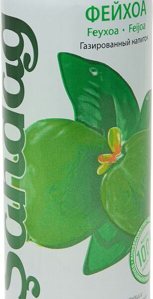 Напиток газированный Sahdag Фейхоа