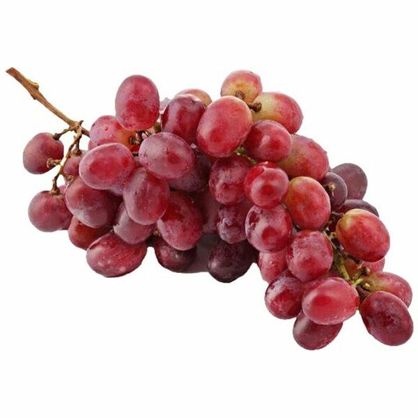 Виноград Шахонак