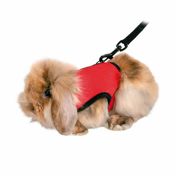 Шлейка для грызунов TRIXIE жилетка для морской свинки/хорька 18-25см/1,20м, в ассортименте 