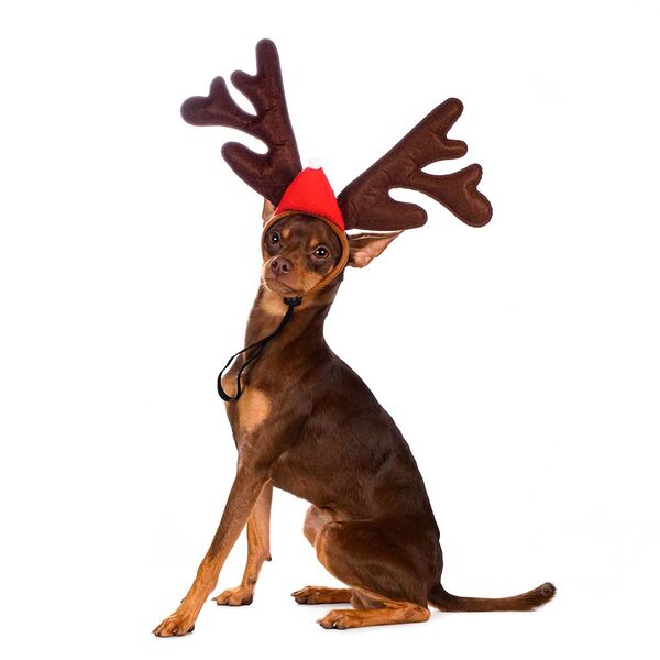 Ободок безразмерный для собак и кошек Рога оленьи коричневый (унисекс)