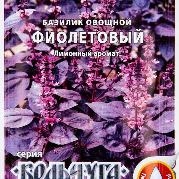 Базилик овощной Фиолетовый серия Кольчуга