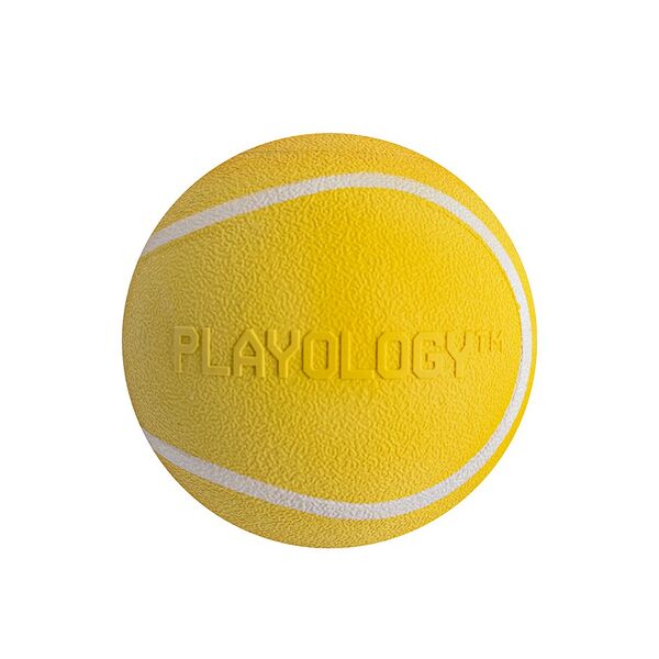 Playology Squeaky Chew Ball жевательный мяч с пищалкой и с ароматом курицы 8 см., Желтый