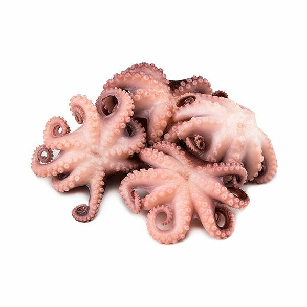 Осьминоги-мини с/м