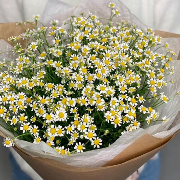 Букет из 15 ромашек