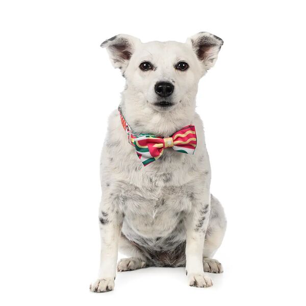 Галстук-бант зелено-малиновый L