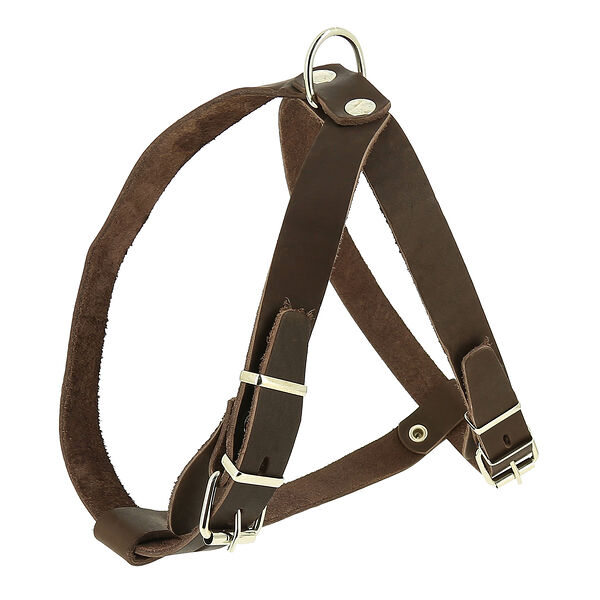 Шлейка Каскад кожаная Шея 39-47 см, грудь 43-51 см