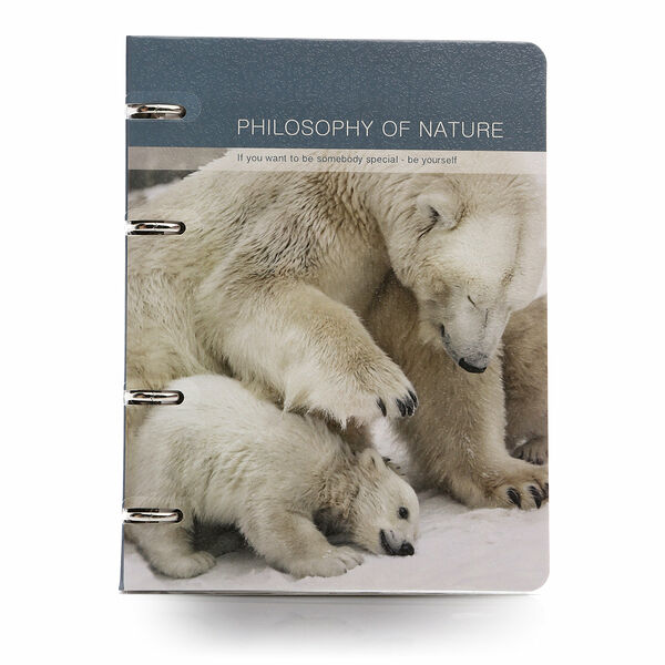 Тетрадь Bears с кольцевым механизмом 120 листов ТМ Study Infolio (Стьюди Инфолио)