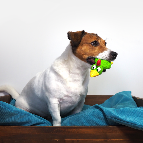 

Игрушка для собак Triol из латекса в ассортименте 1 шт 24 см