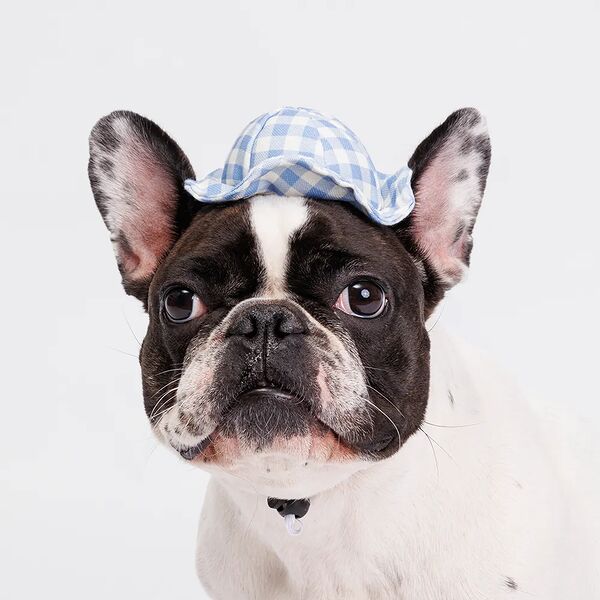 Шляпка Rurri голубая в клеточку 11см