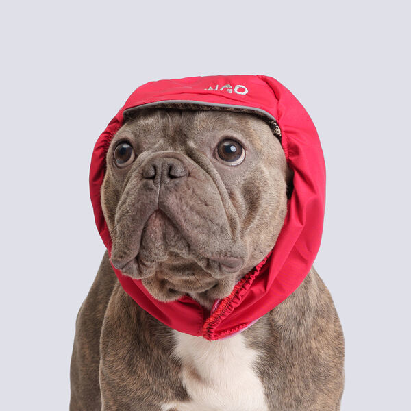 Шапка теплая для собак XL, красная