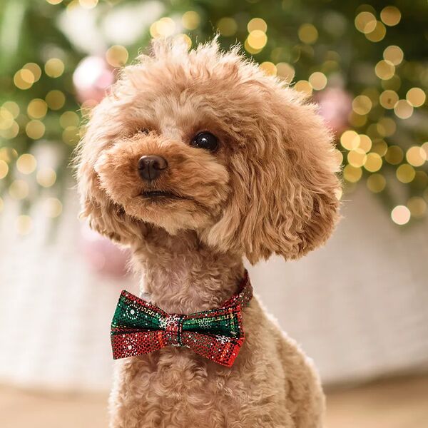 Галстук-бант красная клетка с застежкой