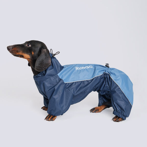 Дождевик Rungo Такса большая, мальчик, голубой горизонт
