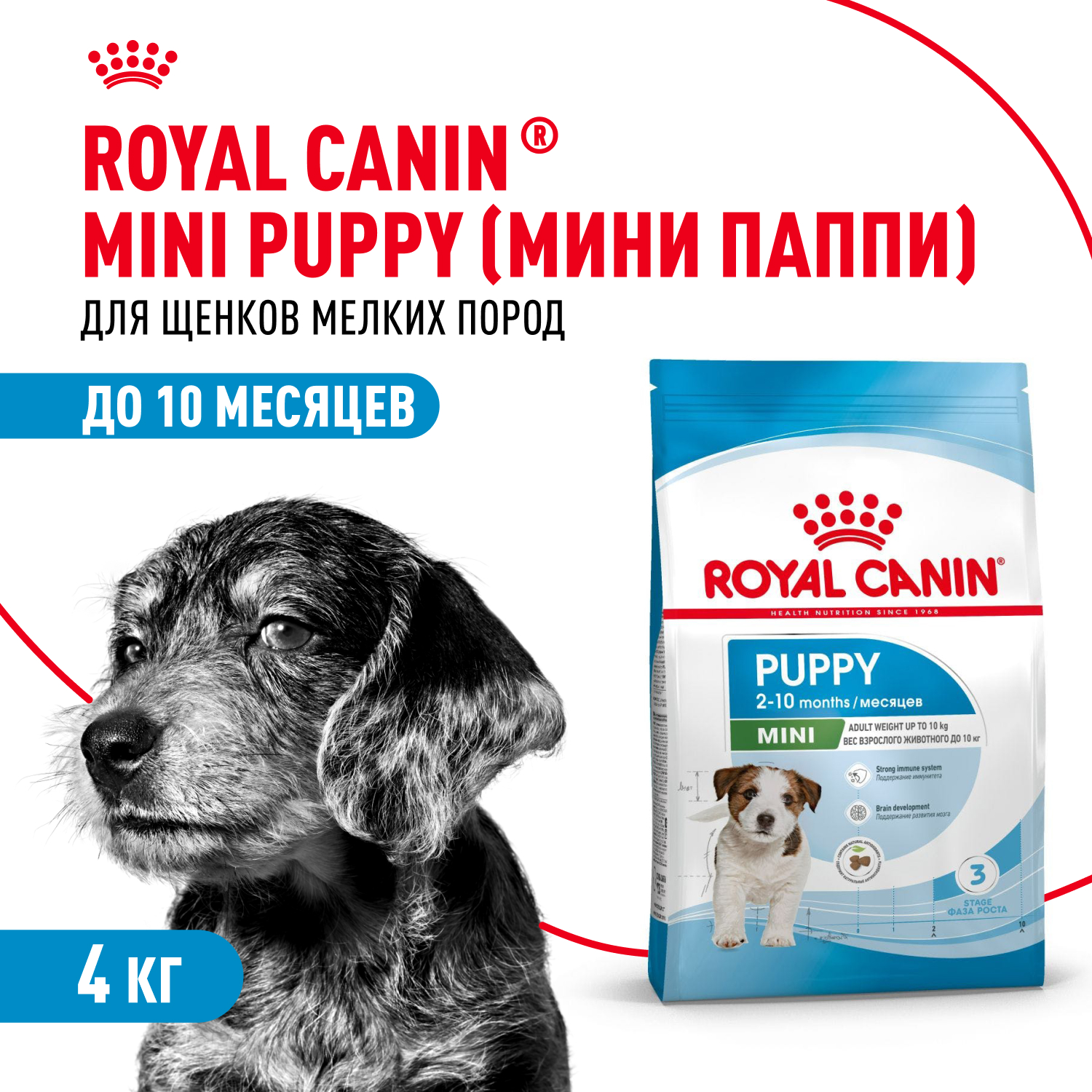 

Корм сухой для щенков мелких пород в возрасте до 10 месяцев Royal Canin Mini Puppy 4 кг