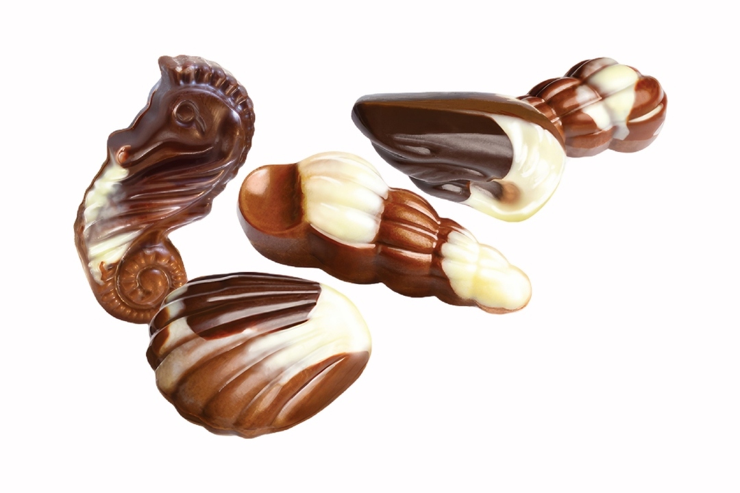 

Конфеты шоколадные Belgica Ракушки с начинкой пралине, 190 г