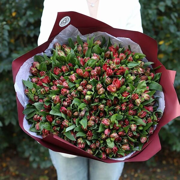 Букет из 51 красной альстромерии в бордовой пленке