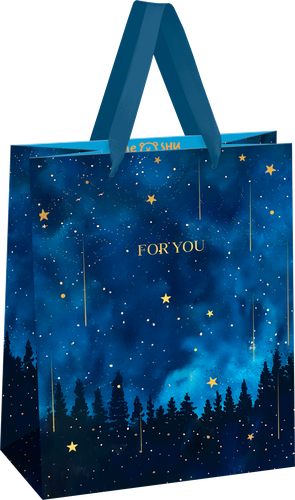 

Пакет подарочный Meshu Night magic фольга матовая ламинация 18 х 23 х 10 см